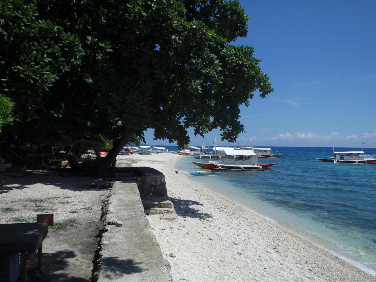 Island Front - Bangcogon Resort And Restaurant Oslob Exterior photo